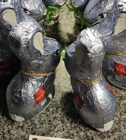 Chez Mamie Schlop Ferienhaus Kientzheim