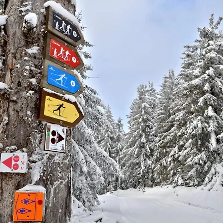 Chez Mamie Schlop Ferienhaus Kientzheim