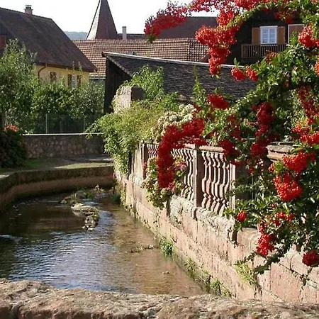 Chez 