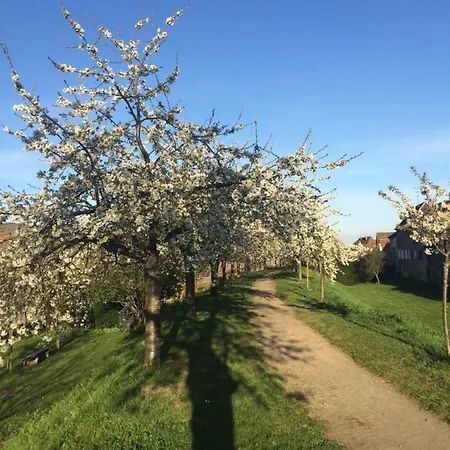 Chez Mamie Schlop Ferienhaus