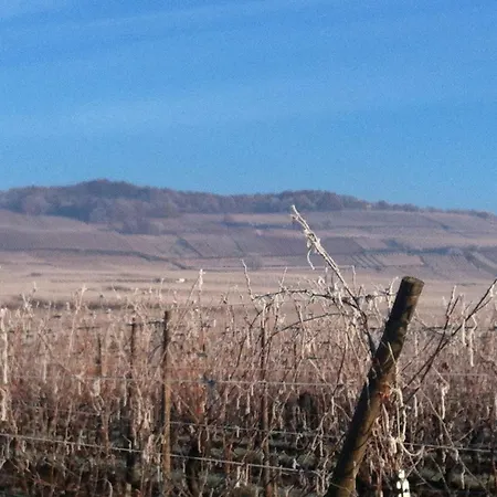 Chez Mamie Schlop * Kientzheim